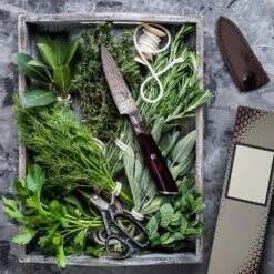 Infinity Wave 4" Schälmesser 61 HRC Damaszenerstahl -Geschäft Für Haushalts- Und Küchenbedarf 10039038 yy 0003 logo