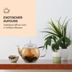 Feelino 6er Teeblume Mix Schwarz -Geschäft Für Haushalts- Und Küchenbedarf 10040408 de 0003 logo