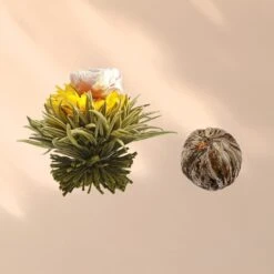 Feelino 6er Teeblume Mix Schwarz -Geschäft Für Haushalts- Und Küchenbedarf 10040408 yy 0007 logo