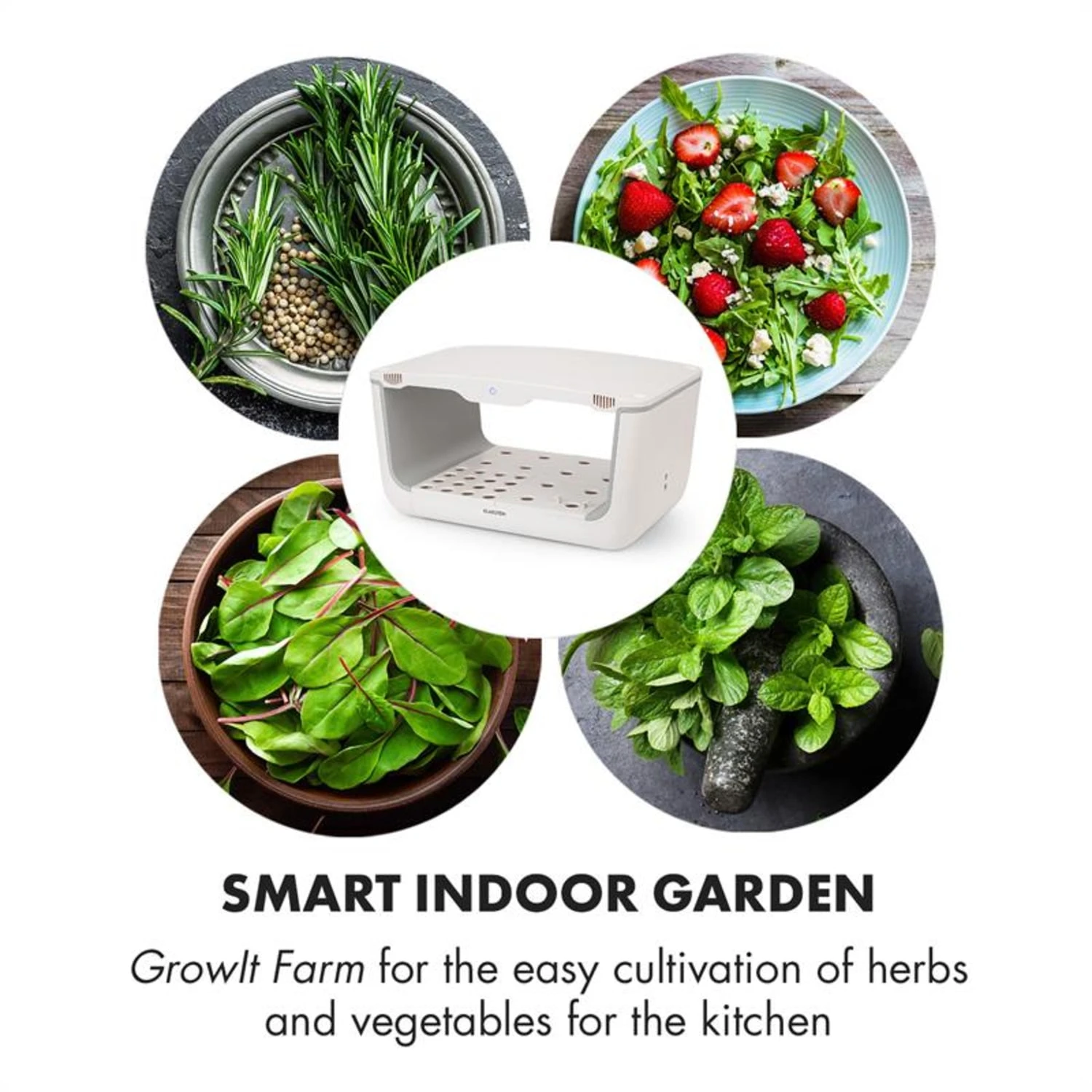 GrowIt Farm Starter Kit Salad 28 Pflanzen 48W 8 Ltr Salad-Seeds Nährlösung – Bild 4